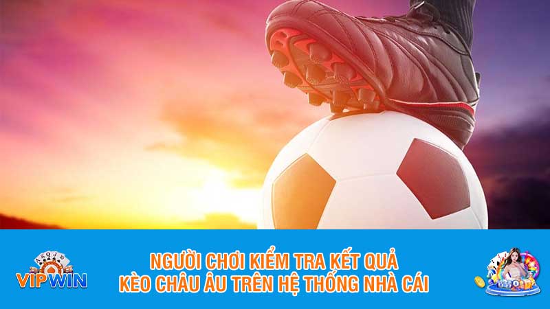 Người chơi kiểm tra kết quả kèo châu Âu trên hệ thống nhà cái