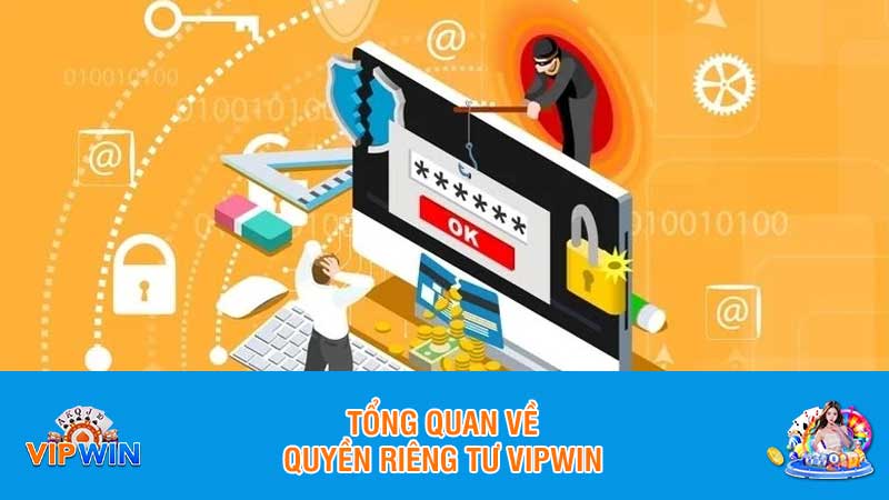 Tổng quan về quyền riêng tư Vipwin